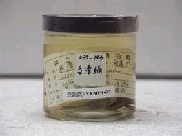 藏品(黑邊鰏)的圖片